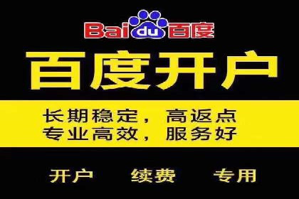 SEM托管代运营案例解析：ROI大幅提升的秘诀